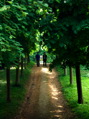 DSCF0535